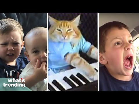 The Top Viral Videos of the Early 2000s