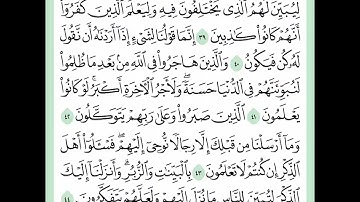 سورة النحل ( مكتوبة ) بصوت جميل جدا للقارئ: نبيل الرفاعي Nabil Al-Rifai
