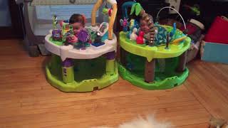 American Eskimo dog makes baby twins laugh
American Eskimo dog makes baby twins laugh American Eskimo dog makes baby twins laugh