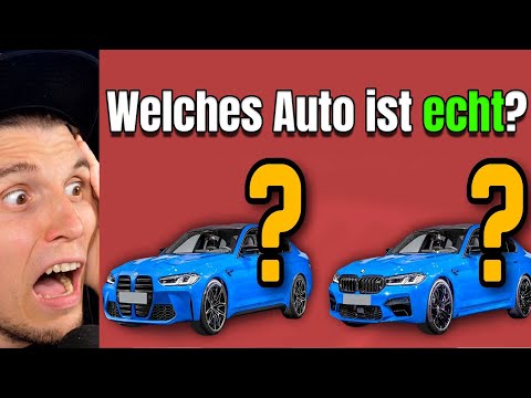 Paluten REAGIERT auf