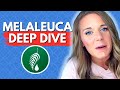 IS MELALEUCA AN MLM?! (yeah sis, but watch this anyways) *slimy*
