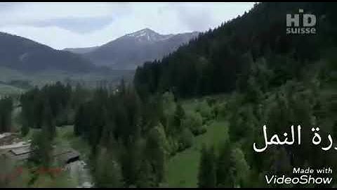 ملافائزالحلفي سورة النمل