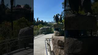 San Diego Zoo ADA Tips and Shortcuts, Wheelchair, Walker, Elevator, Bridge
