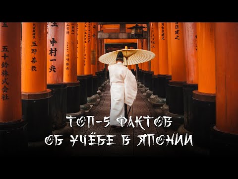 ТОП 5 ФАКТОВ ОБ УЧЁБЕ В ЯПОНИИ, которые ты не знал
