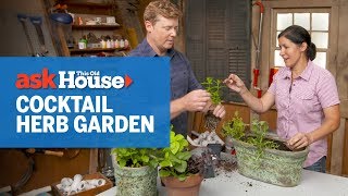 How to Plant a Cocktail Herb Garden | Ask This Old House
