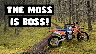 Moss Lake Motorcycle Trail || Fall Riding Highlights