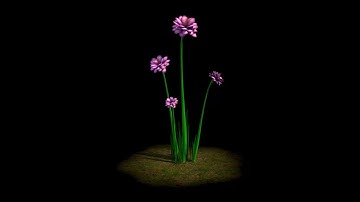 3d flower in maya with arnold