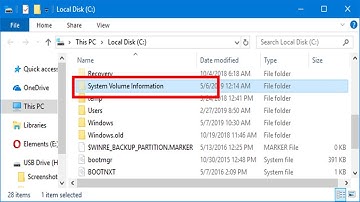 What is the “System Volume Information” Folder, and Can I Delete It? | Explained