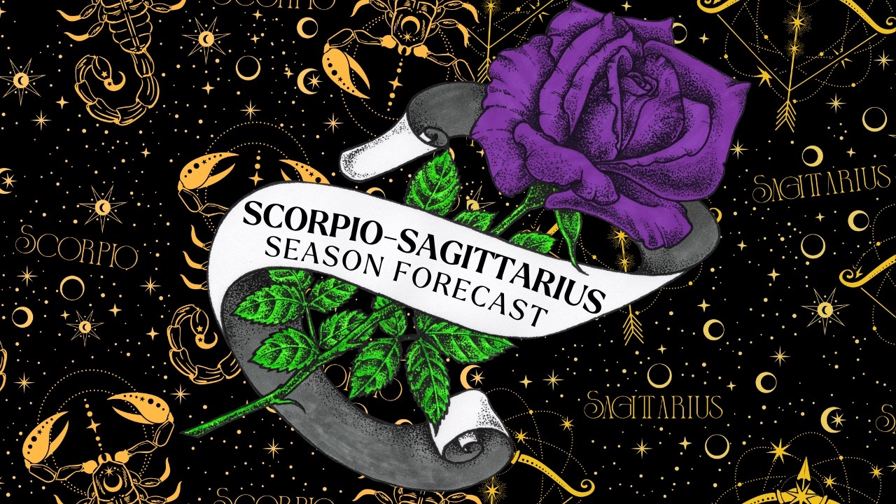 scorpio sagittarius cusp 𖧷 leo season forecast 𖧷 timeless tarot reading 🌹