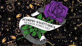scorpio sagittarius cusp 𖧷 leo season forecast 𖧷 timeless tarot reading 🌹