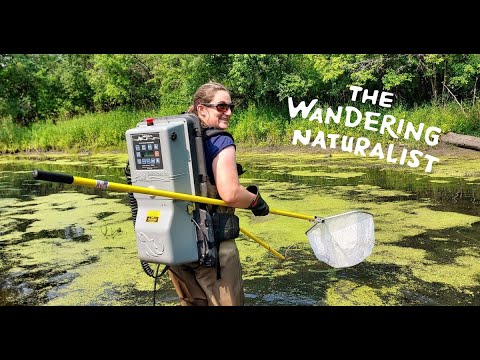 Episode 235: Women and Wilderness – Authentic Representation
