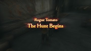 FFXII -  Rogue Tomato