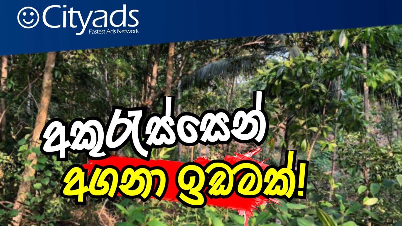 පර්චසයක් 15000/= අකුරැස්සෙන් පර්චස් 155 ඉඩමක් විකිණිමට Land for sale