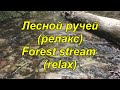 Звуки природы! Красивое журчание лесного ручья (реальные кадры из леса!!!)