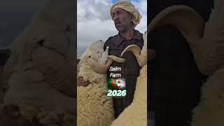 مرحبا بكم في شراڤة مدخل عمارة يوم الجمعة إنشاء الله على 4 مساء 24 أفريل 2026