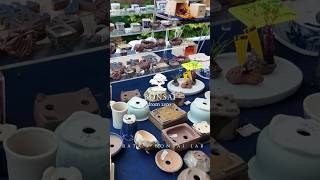 Arata visits the Ōmiya Bonsai Village Bonsai Festival 2026! #garden #bonsailife #bonsai