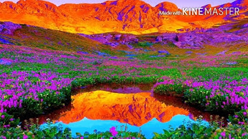 سورة الذاريات - سورة البروج - شهريار برهيزكار