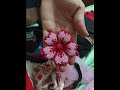 Flor com miçangas Jablonex 9/0  Parte 01