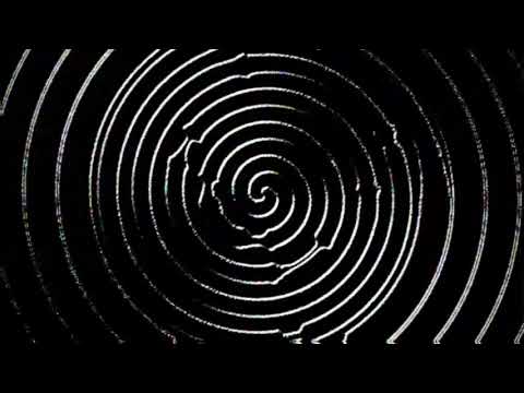 BAW - sample pack (rridim, future riddim, house, drums, vocals, and more)