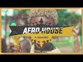 Capture de la vidéo ⚫️🟡 [Afro-House] - Dj Habias - Mocita [Pt Musik Productions Remix]