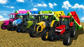 FENDT vs CLAAS vs CASE vs FIAT TRACTORS BATTLE WITH WATERMELONS ON MINECRAFT ENVIRONMENT  FS 22