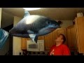 My Air Shark! - Jenks - Air Swimmer