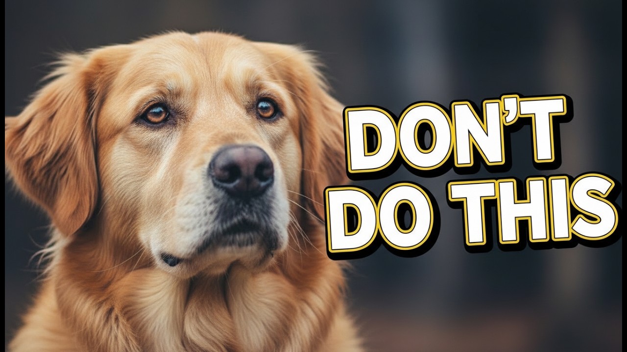 8 Things That Break a Dog’s Heart