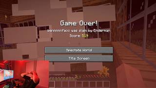 I Was Slain By Enderman (Part 4: The End)