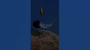 تلاوة خاشعة للقارئ سعود الشريم  من سورة الذاريات