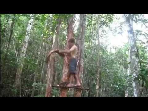 სახლის შენება