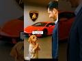 The Poor Puppy Buy Car #puppy #animahal #hilariousfails #shortsfeed2025  #cuteshorts