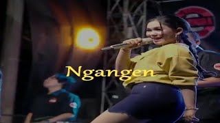 Story WA Dangdut Koplo Ngangen