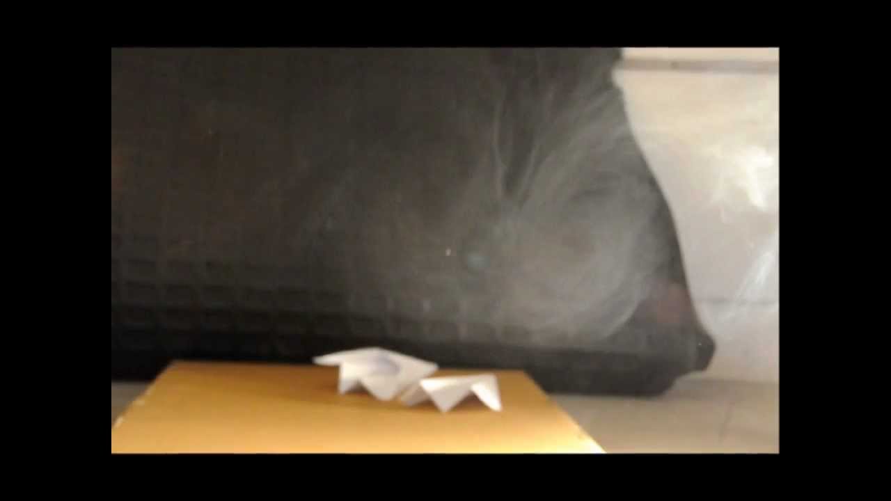Wake vortices of paper planes