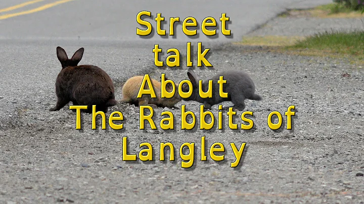 Street Talk About The Rabbits of Langley