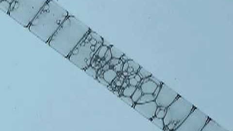 Modeling grain boundary intersecting with soap bubbles