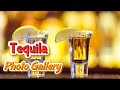 Tequila Photo Gallery | Photoshoot | Photography | Free HD Photos Collection | Yash Arts