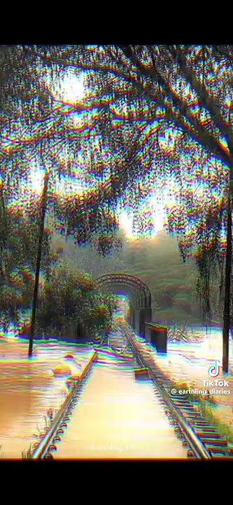 සෝබා දහම 😢 #1million #viral #dithwa #kunathu #tomato