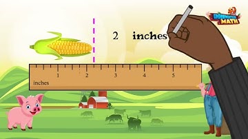 Represent Measurement Data Using Line Plots - 3rd Grade