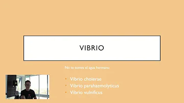 Como tratar Vibrio?