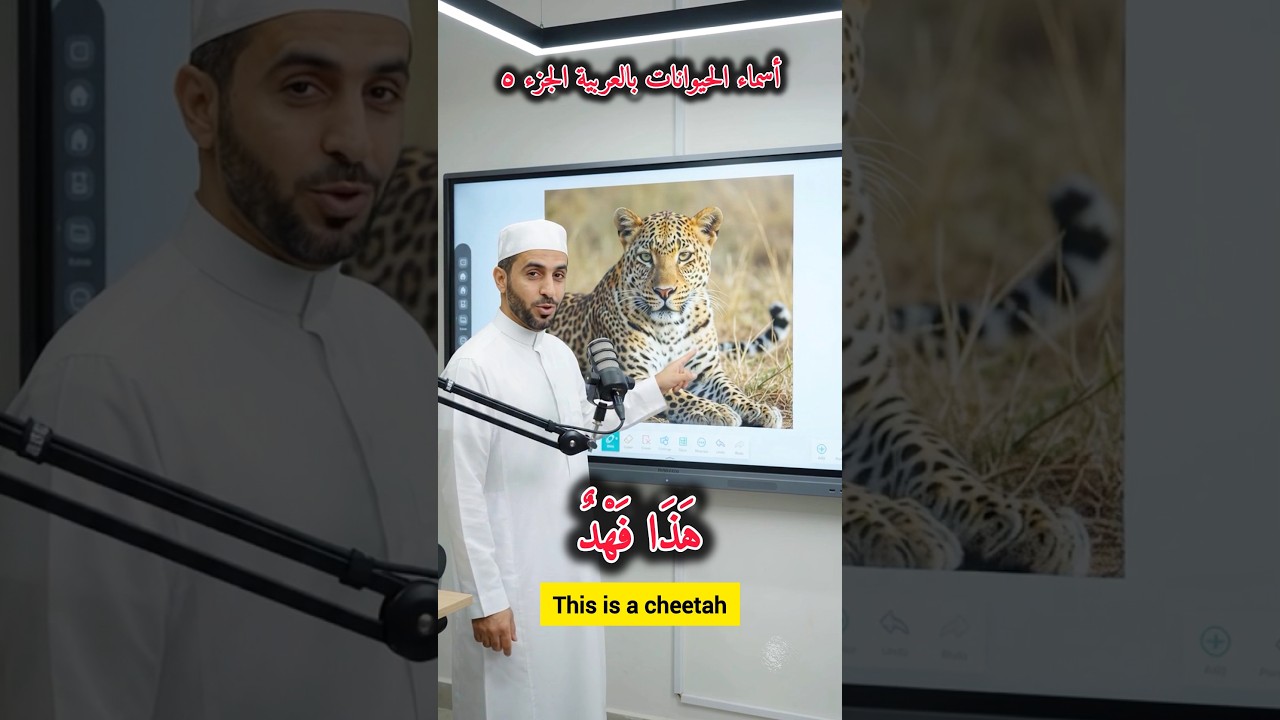 أسماء الحيوانات بالعربية للأطفال الجزء ٥ | 🐆🦏 | هذا فهد، هذا وحيد القرن، | تعلم العربية.