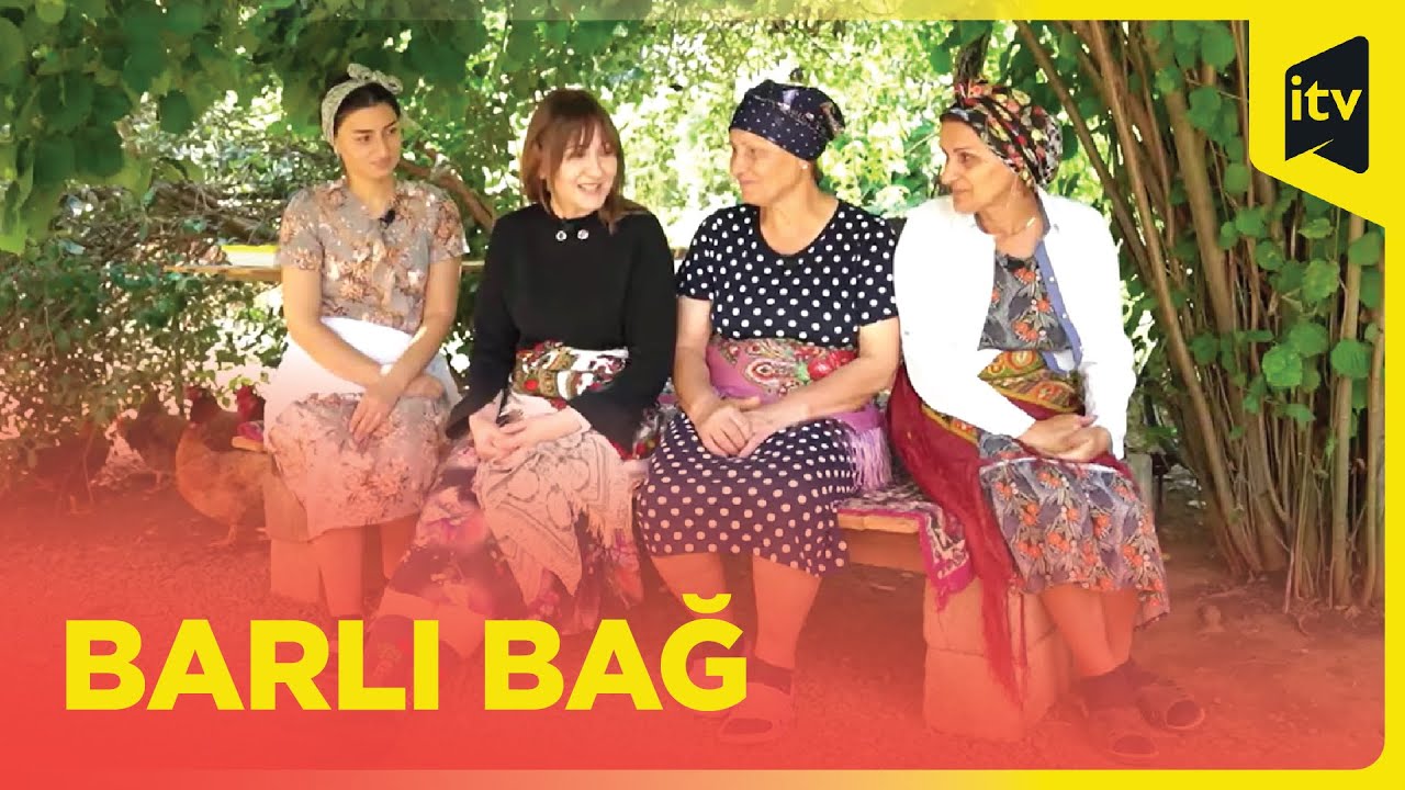 Barlı Bağ | Masallı | 28.09.2024