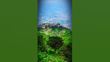 تلاوة تريح الأعصاب قران_كريم تلاوة خاشعة #تلاوة #elmulquranعلم #اكسبلور #المصحف #قران_كريم