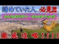 【FF10リマスター】とれとれチョコボ 0秒達成のコツ！！１１の成功パターンをもとに超徹底攻略！！諦めていた人必見！！【FF10HD】【FINAL FANTASY X HD Remaster】【実況】