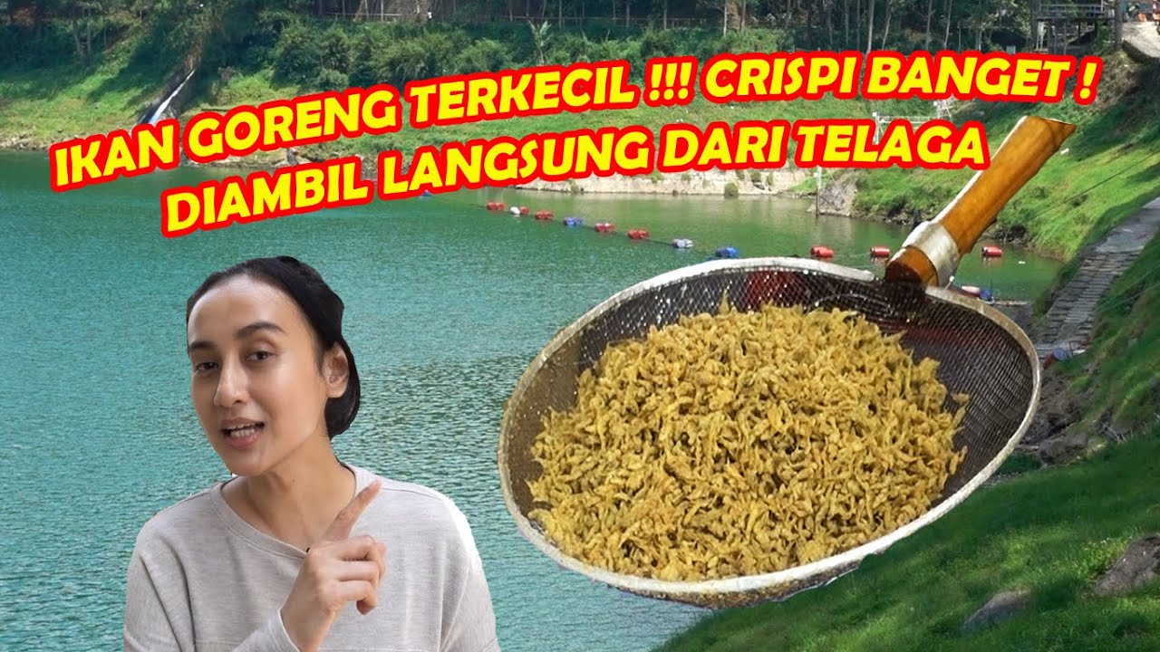 IKAN GORENG TERKECIL !! NAMANYA IKAN NYOHO, LANGSUNG DARI NELAYAN TELAGA MENJER | KULINER WONOSOBO