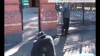 За чертой не придуманный рассказ про бомжей из Новозыбкова За чертой не придуманный рассказ про бомжей из Новозыбкова