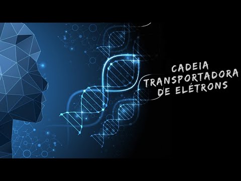 Vídeo: O ATP é usado na cadeia de transporte de elétrons?