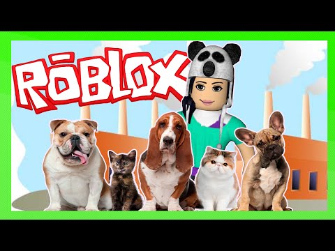 Roblox – FÁBRICA DE PETS (Pet Tycoon)