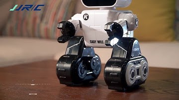 JJRC ROBOT CADY WILE R4