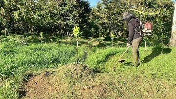 Phát Cỏ Bằng Cước - Máy Phát Cỏ Balô - Phát Cỏ An Toàn 