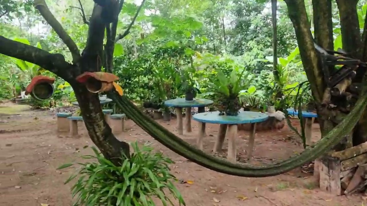  passeando no meu jardim